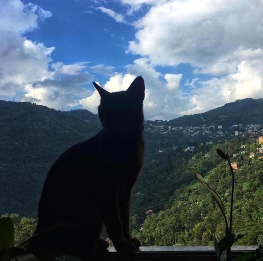 House Of Nomad Hostel Gangtok Bagian luar foto