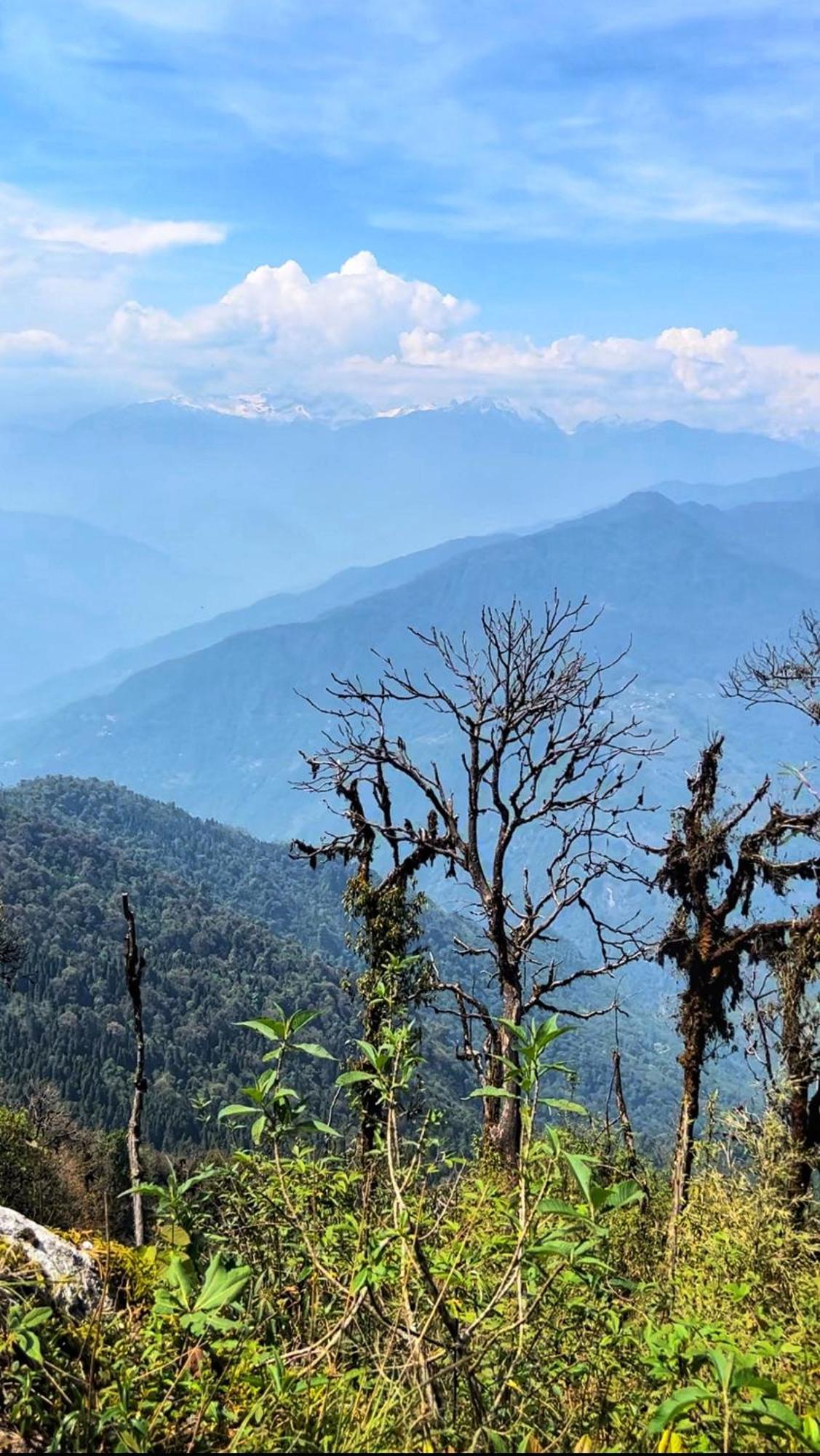 House Of Nomad Hostel Gangtok Bagian luar foto